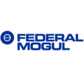 FEDERAL MOGUL